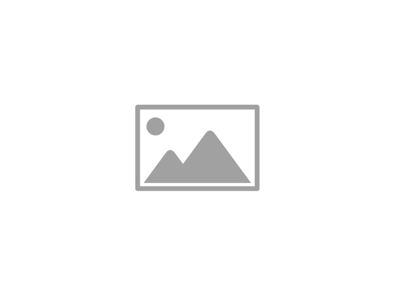 T1